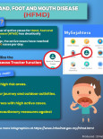 Hand, Foot And Mouth Disease (HFMD)